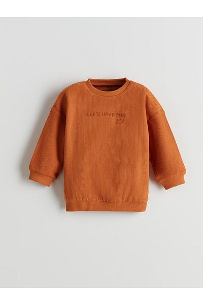 LC Waikiki Crew Neck Sweatshirt and Sweatpants for Baby Boy - Set of 2