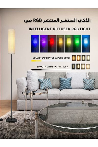 COOYA Nordic Modern Floor Lamp, With Remote, Bluetooth, 3 Color Temperature, 9W LED Bulb, for Room