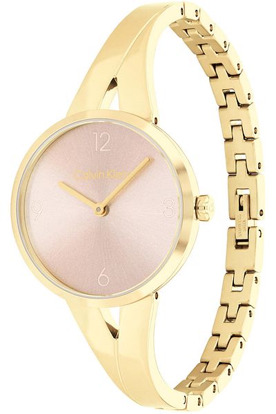 Calvin Klein Ck 25100027   Model Women's Wristwatch