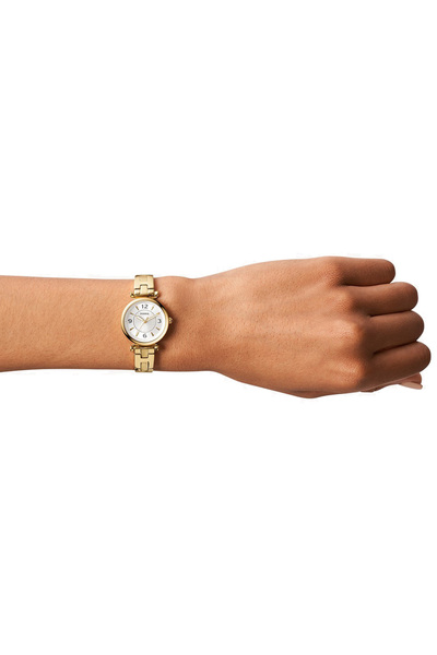 Fossil Fes5203 Women's Wristwatch