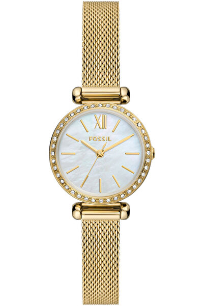 Fossil Fbq3898 Women's Wristwatch
