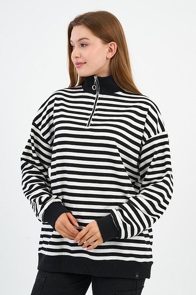 ALEXANDERGARDI Hanorac cu fermoar cu guler vertical (UNX-00247-WN)
