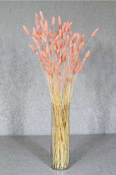 Dekorsende Kurutulmuş Lagurus (pamuk Otu) Demeti Pembe