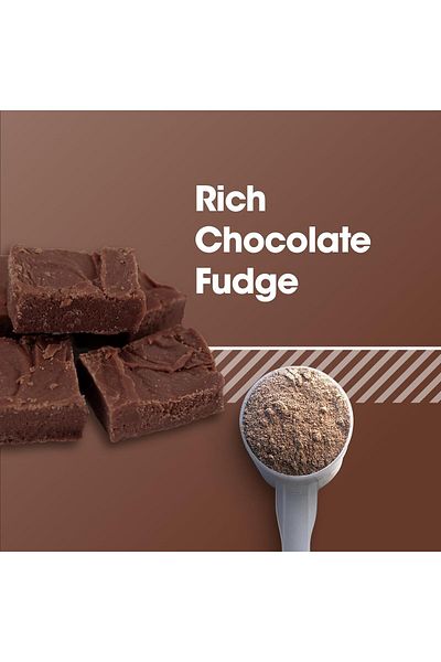 Optimum Nutrition Gold Standard 100% Plant Protein, Chocolate Fudge, 1.76 LB