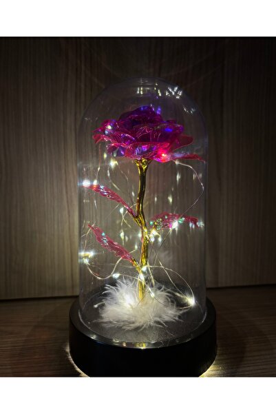 Store Led Işıklı Fanusun Içinde Sonsuzluk Gülü Sevgililer Günü Doğum Günü Ann...