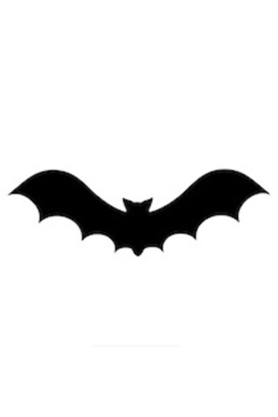 Kıvırcıkyoga ملصق حائط للكمبيوتر المحمول بمحرك السيارة Flying Bat مقاس 30 × 9