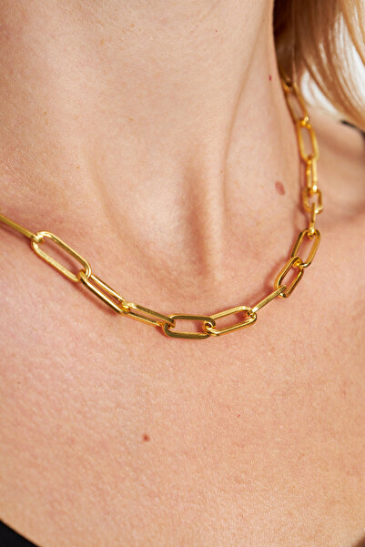 Ventino Silver 18 K Altın Kaplama Plated Ataç 925 Ayar Gümüş Kadın Kolye VKK-4481