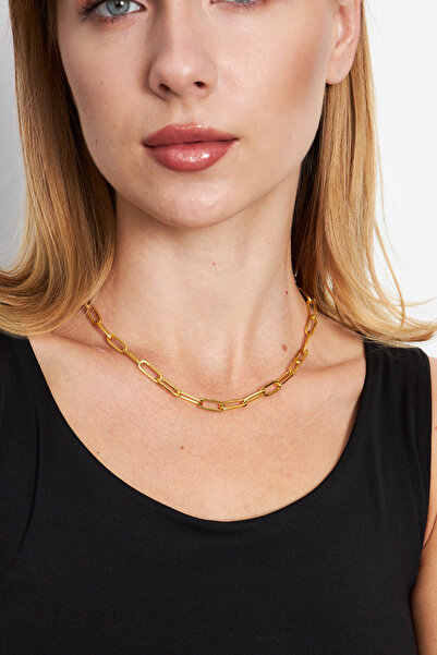 Ventino Silver 18 K Altın Kaplama Plated Ataç 925 Ayar Gümüş Kadın Kolye VKK-4481