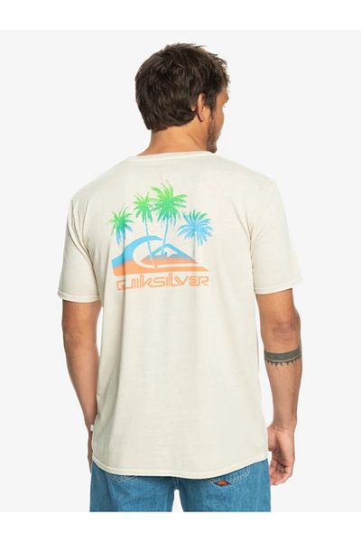 Quiksilver Pastimeparadise M Tees