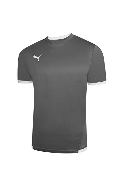 Puma 704917   Ανδρικό μπλουζάκι Teamliga Jersey σε γκρι Dry-cell