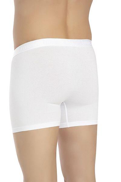 Bross Ανδρικά μποξεράκια 1000 2 Pack Lycra White