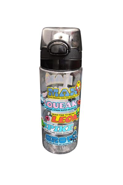 BRAWL STARS 500 ml Water Bottle/Drinker