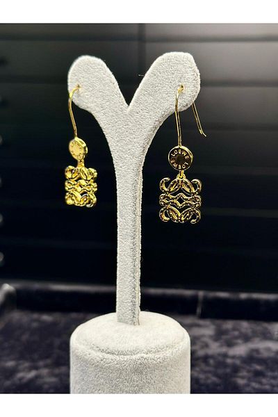 Amber Steel Earring with Gold Hanger
