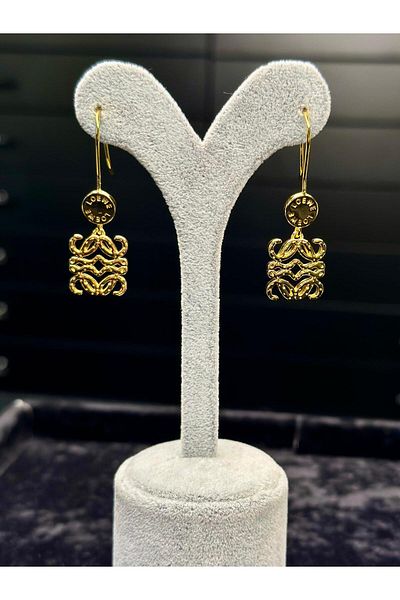 Amber Steel Earring with Gold Hanger