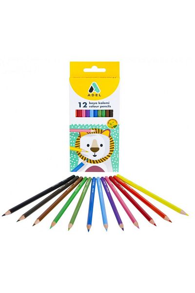 Adel 12 Dry Paint Pens
