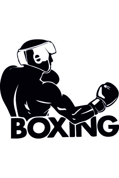 Birim Matbaa Boxing 2 Auto Sticker(30X29Cm)
