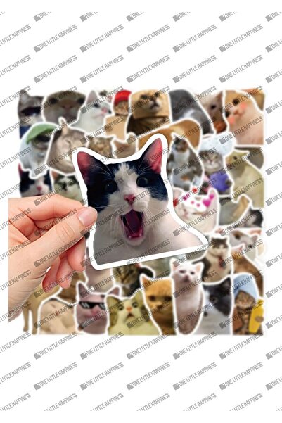 One Little Happiness Çılgın Kediler Macbook Notebook Tablet Telefon Ajanda La...