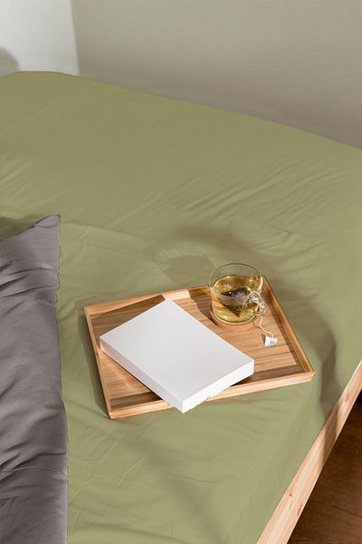 PureText Purecomfort Double Natural Cotton Bed Sheet Set - 160X200 35 cm Height |   Sage
