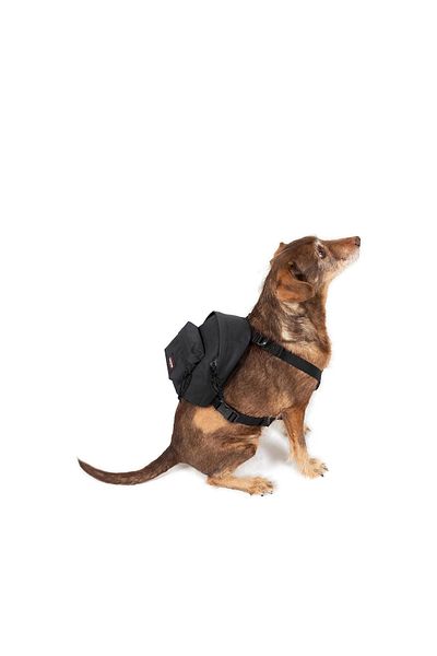 Eastpak Σακίδιο πλάτης Dog Pak'r Dog Unisex Σακίδιο πλάτης Ek0a5beo0081