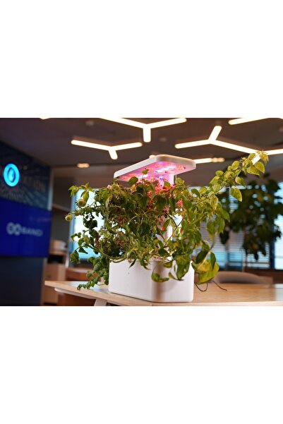 UPTECHLABS Uherb Smart Garden, Grow Light, Akıllı Bahçe, Hidroponik, Bitki Yetiştirme Sistemi