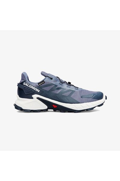 Salomon Men's Running & Training Shoes Gray L 47462300