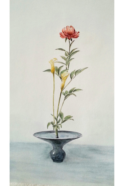 Sarisa pictură originală în acuarelă