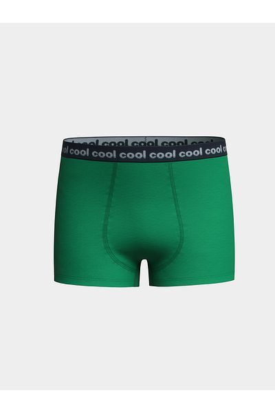 LC Waikiki Boy's Boxer 3-pack