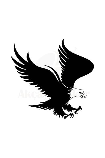 pınaxar Eagle Sticker 10 X 9 cm