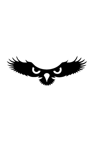 Generic Brand Eagle's Eyes Wall Decor Sticker 40 X 16 cm