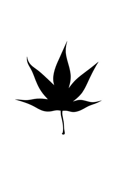 Generic Brand Sycamore Leaf Wall Decor Quality Quality Sticker 40 X 44 cm