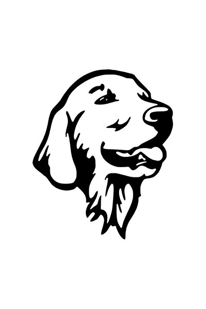 cinarrium ملصق عالي الجودة من جولدن ريتريفر مقاس 10 × 12 سم