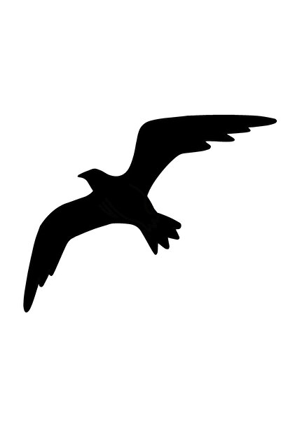 BİLGİMOLA ملصق ديكور حائط النورس 40 × 32 سم