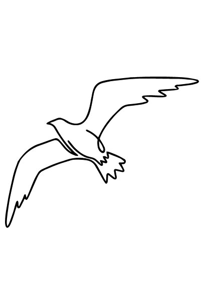 BİLGİMOLA ملصق ديكور حائط النورس الطائر 60 × 24 سم