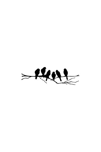 pınaxar Birds on a Branch Wall Decor Sticker A+ Quality 40 X 12 cm Durable