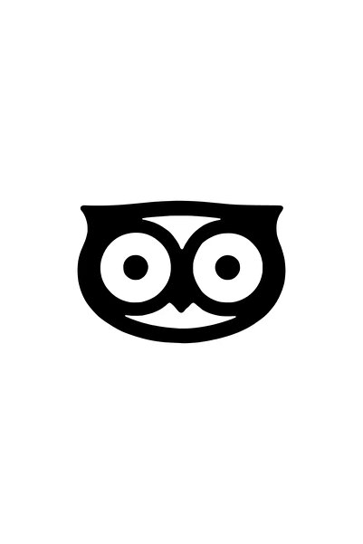 pınaxar Owl Head Sticker 20 X 14 cm
