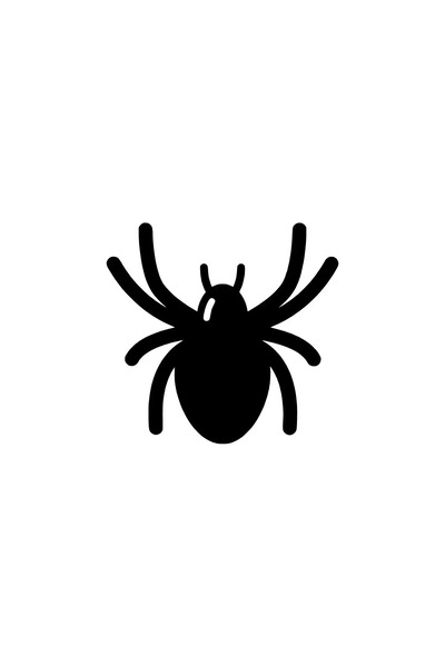 pınaxar Cute Spider Sticker A+ Quality 30 X 30 cm Durable