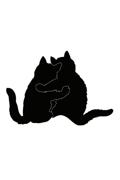 pınaxar Friend Cats Auto Domestic Production A+Quality 30 X 21 cm Durable