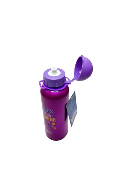 Globox Pink Aluminum Flask - 500 ml