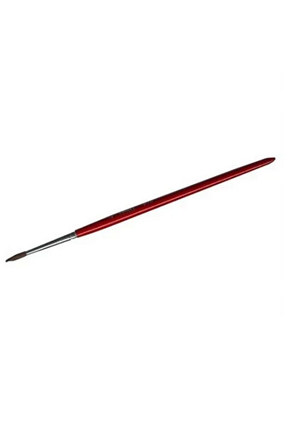 My Reality Fashion فرشاة نيسي وورلد بينتا - مقاس 00