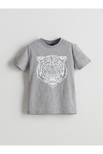 LC Waikiki Crew Neck Boy's T-Shirt