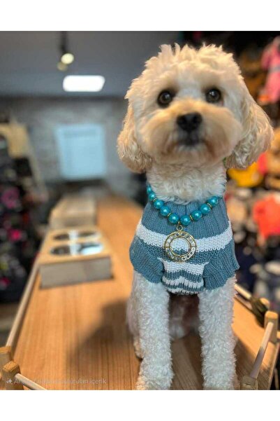 faramiss fashion SELANİK ÖRGÜ TURKUAZ-BEYAZ ÇİZGİLİ RENK KEDİ KAZAK KÖPEK KAZAK-KIYAFET FARAMİSSPET