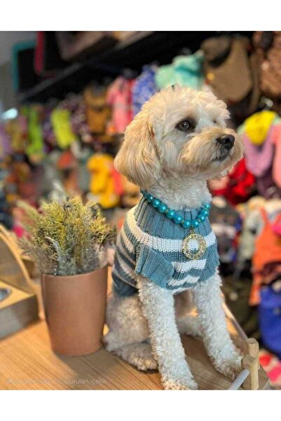 faramiss fashion SELANİK ÖRGÜ TURKUAZ-BEYAZ ÇİZGİLİ RENK KEDİ KAZAK KÖPEK KAZAK-KIYAFET FARAMİSSPET