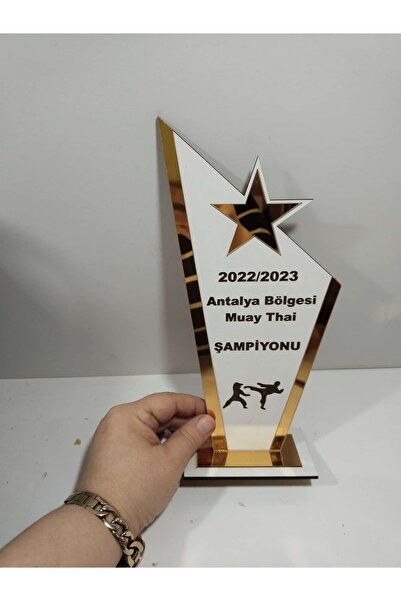Genel Markalar Hediyelik Plaket Karete/boks/judo