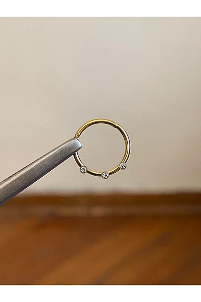 Rupen Kraft 316 L Surgical Steel - Atomic Stone Cartilage Piercing, Rook Orbital Helix Septum