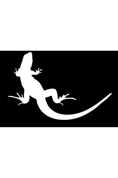 Birim Matbaa Lizard Car Sticker(26X17 cm)