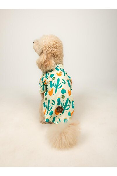 Buf & Buf Cactus Paw - Kedi Köpek Kıyafeti Gömleği Küçük Orta Irk