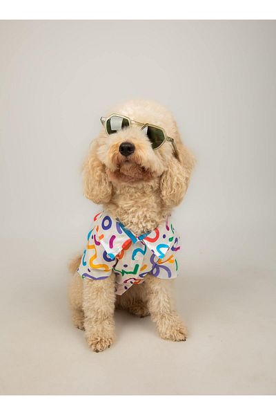 Buf & Buf Color Splash - Summer Cat Dog Shirt Small Medium Breed Custom Printed