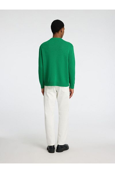 Selected Homme Pullover 100% Woll