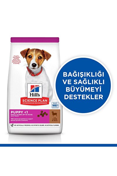 Hills Science Plan Hill's Scıence Plan Küçük Irk Kuzulu & Pirinçli Yavru Köpek Maması 6kg