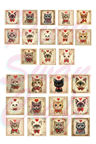 Pink Swan Craft Set de autocolante vintage Valentine Heart Cat Stamps, Bullet...